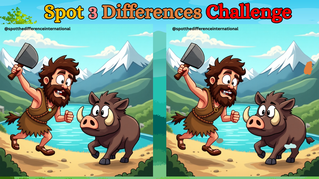 Spot the Difference Challenge