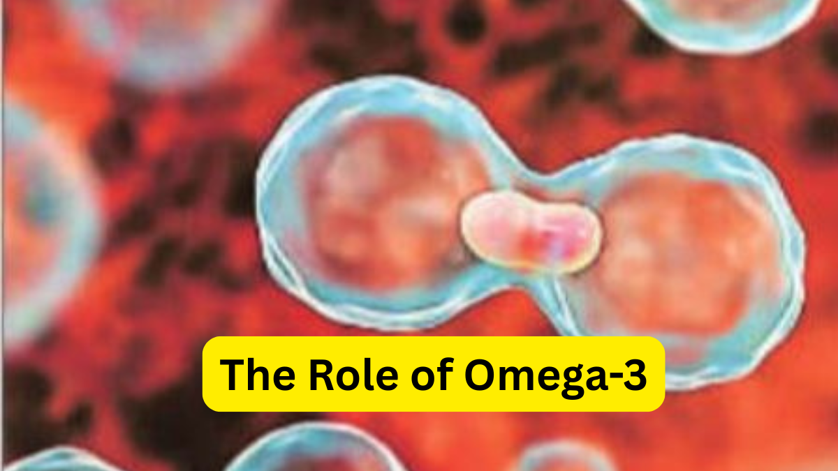 The Role of Omega-3